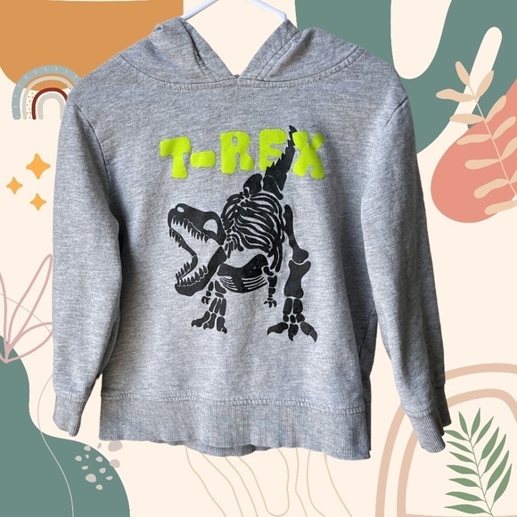 3/$15  2T Monkey Bars Hoodie - Picture 1 of 4